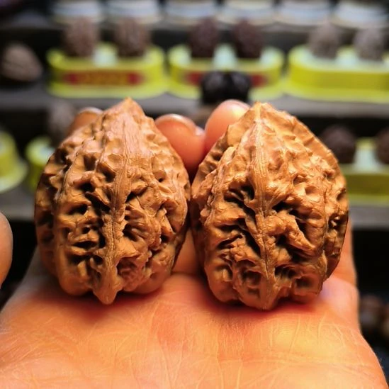 核桃1号车放漏漏漏漏