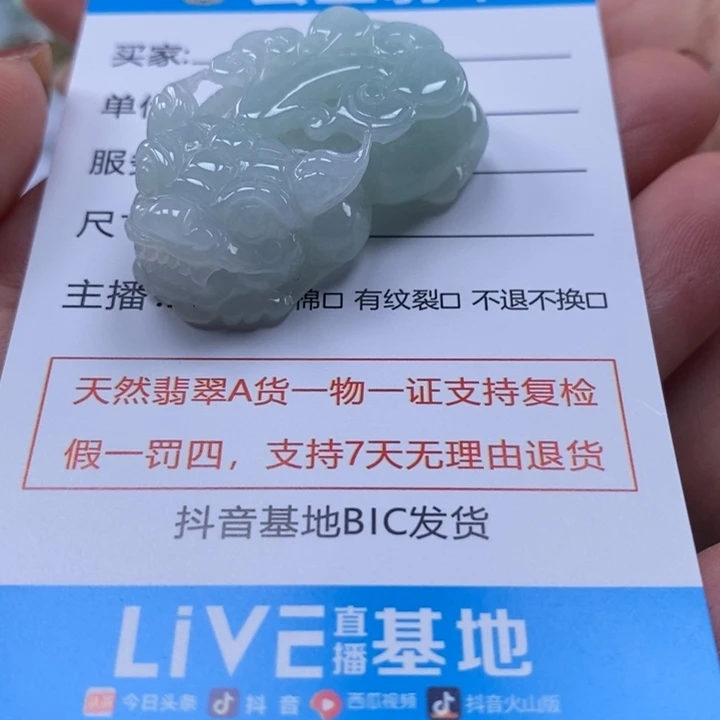 翡翠未镶嵌颈饰多人貔貅