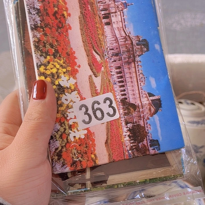 辽***河865866555666599588