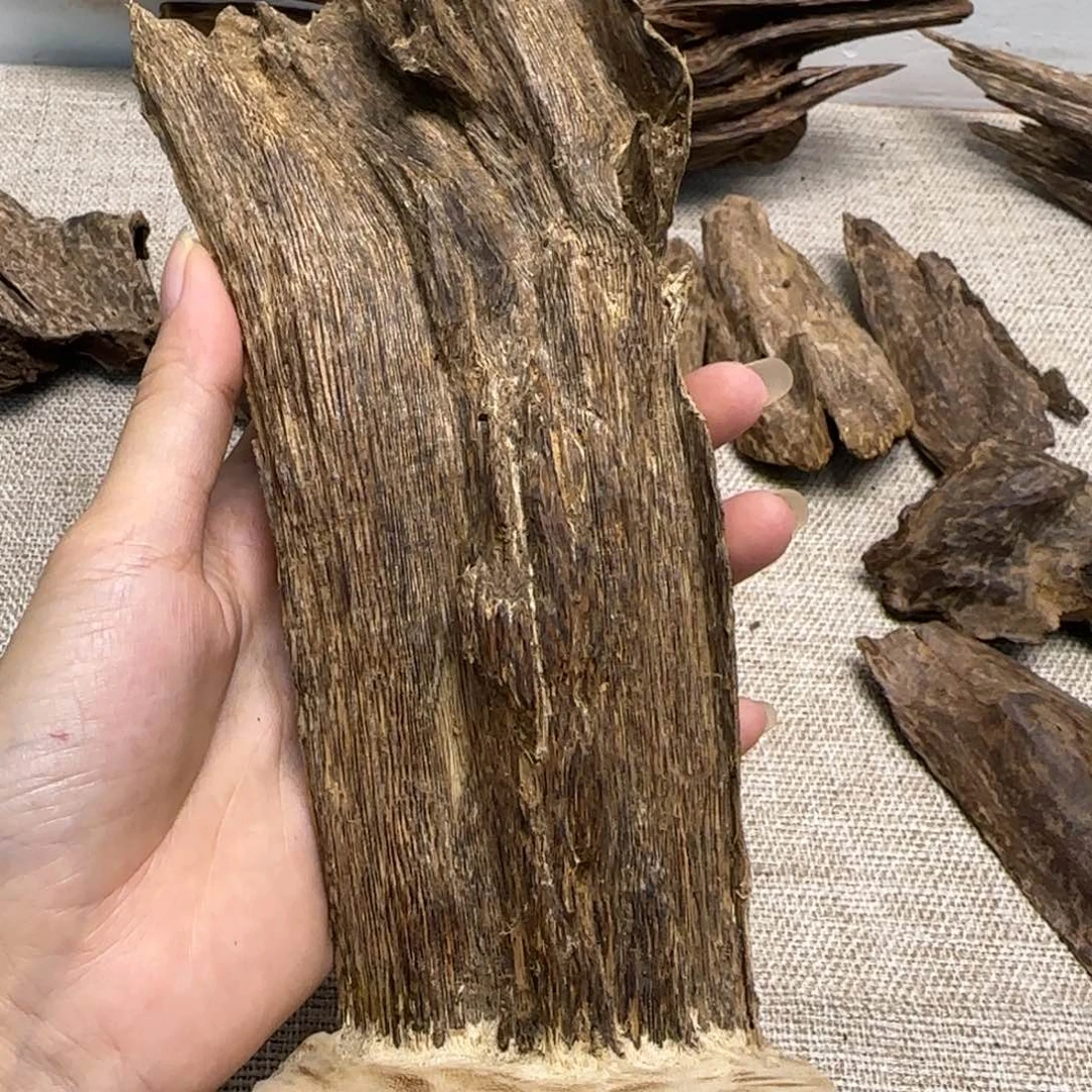 香榧木海南奇楠泡摆件83克