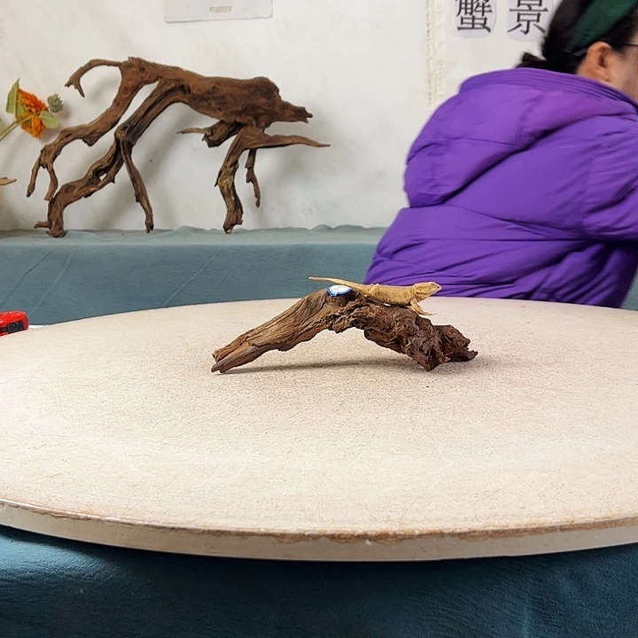 新年快乐沉木造景