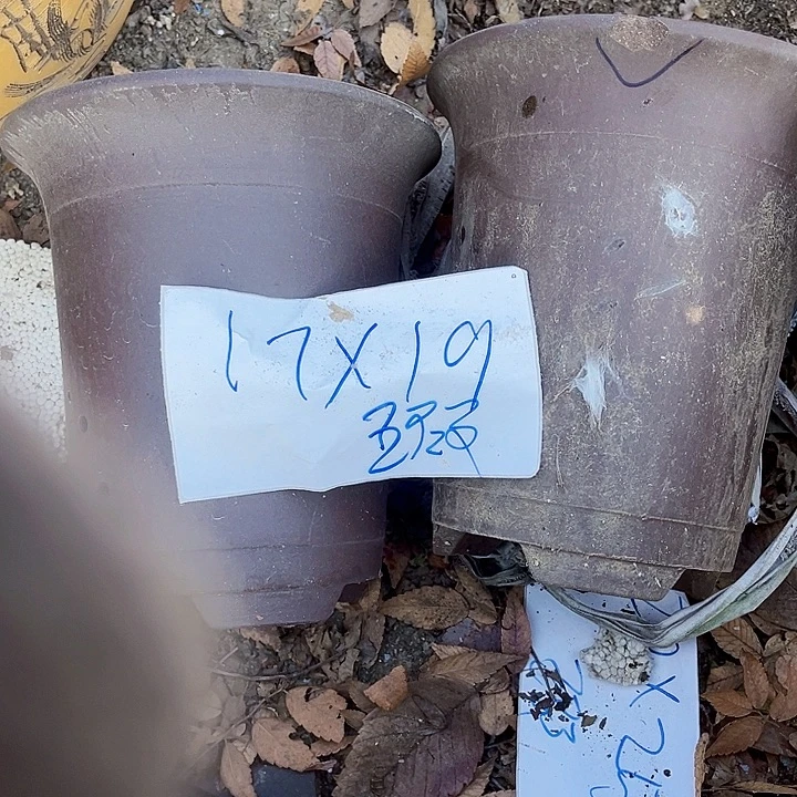 紫砂花盆111111111
