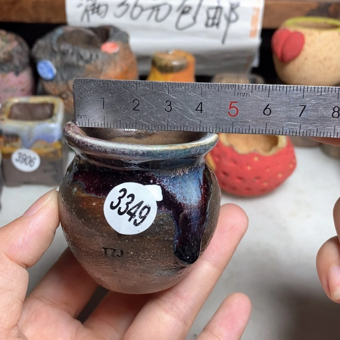 拍5送一个小礼物