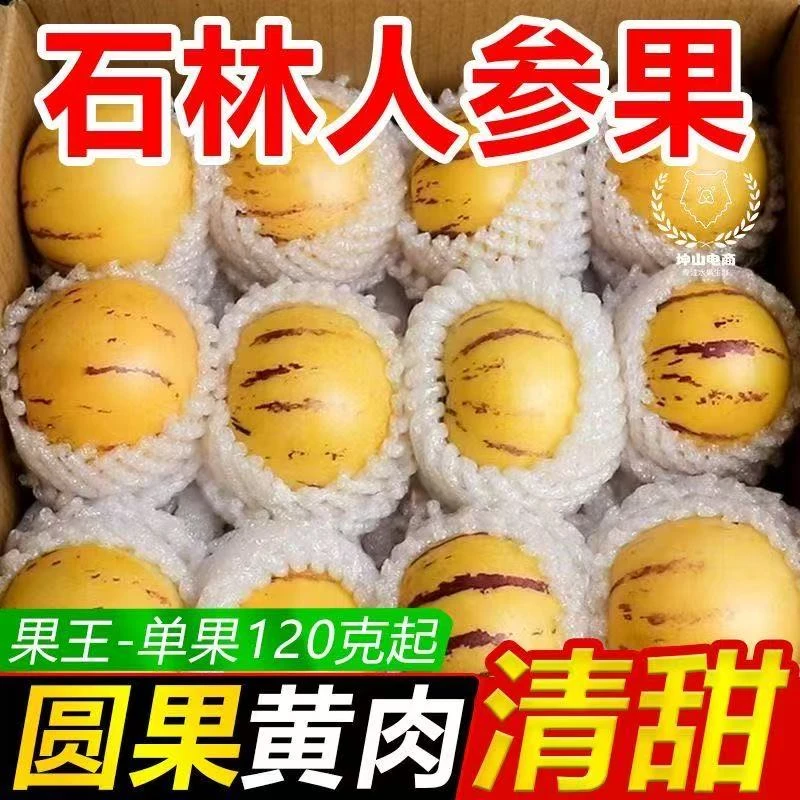 云南石林果树上熟黄肉圆果清甜多汁新鲜水果
