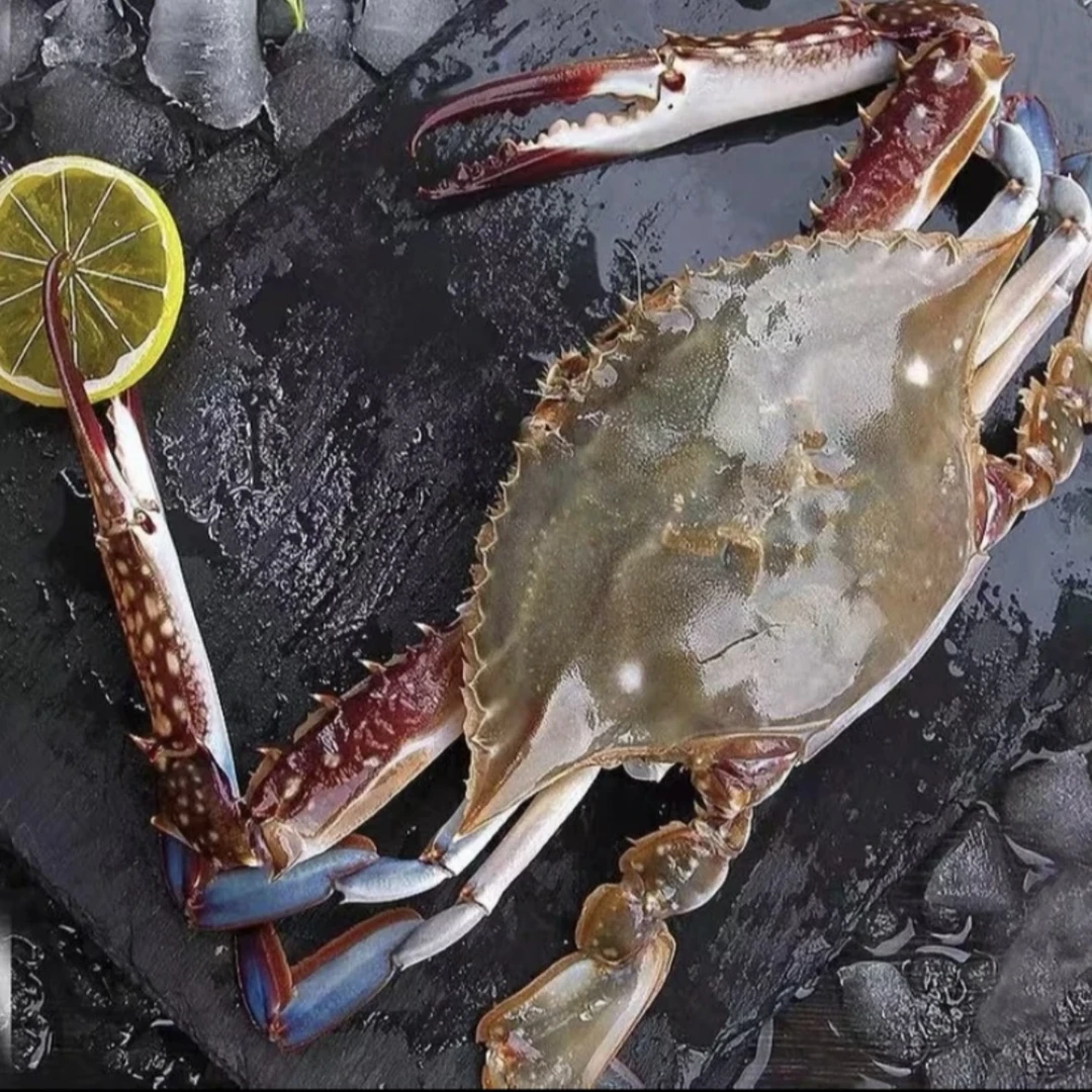 【保鲜不保活】舟山当季海捕梭子蟹 净重3斤/箱 6-8两/只 到手5-6只  充氧活发