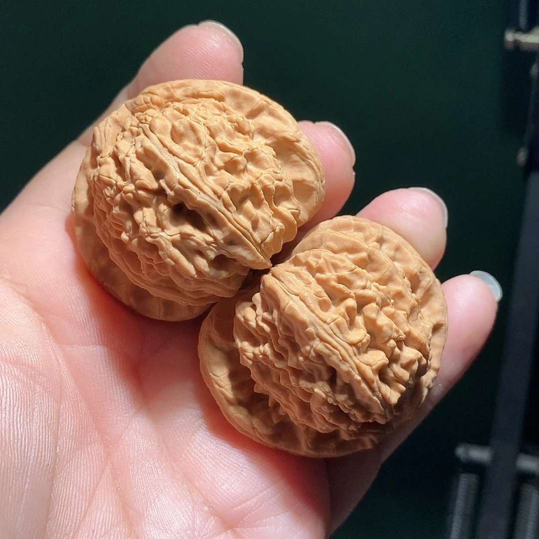 把件文玩核桃45白狮子全品