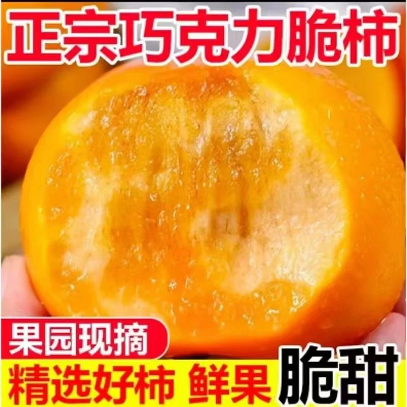 【爆甜】正宗云南巧克力糖心脆柿新鲜采摘时令头茬鲜果应季水果L