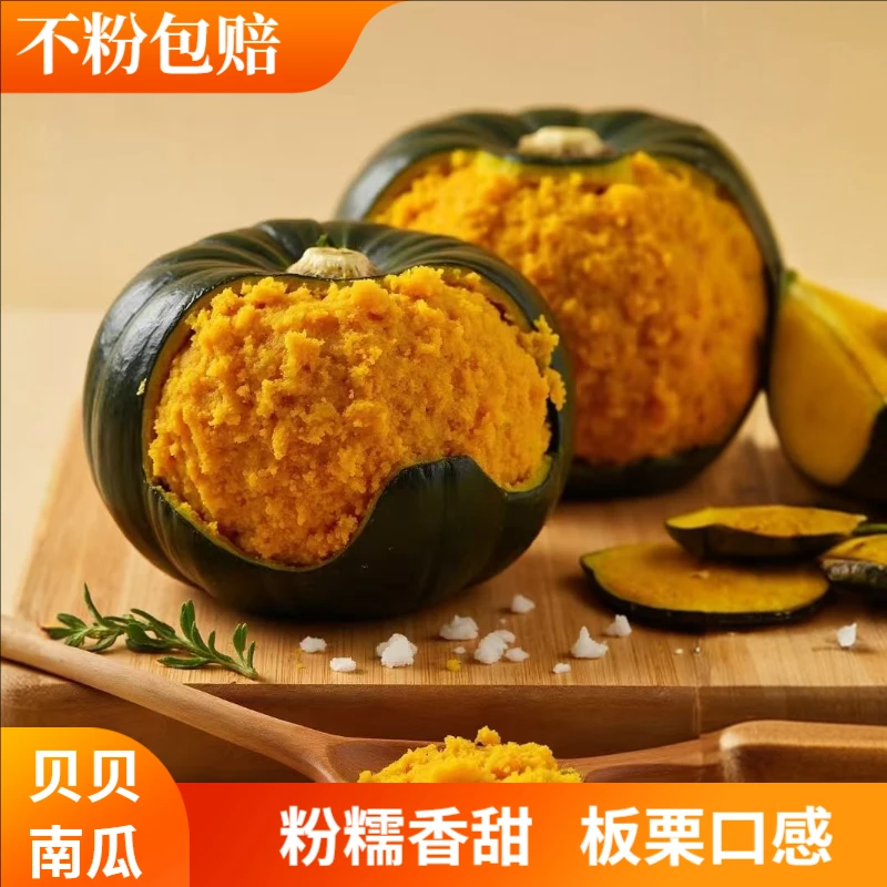 正宗贝贝南瓜粉糯香甜自然成熟板栗味宝宝辅食孕妇代餐4-6个装
