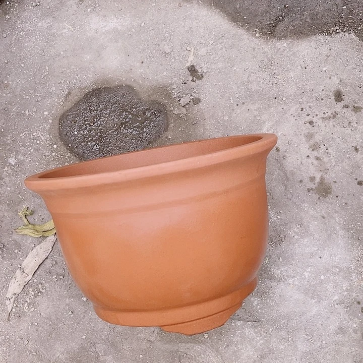 紫砂花哦去花片a 49