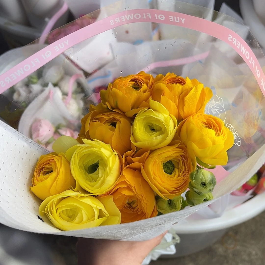 完全开放月琪（橘子汽水）8-10枝