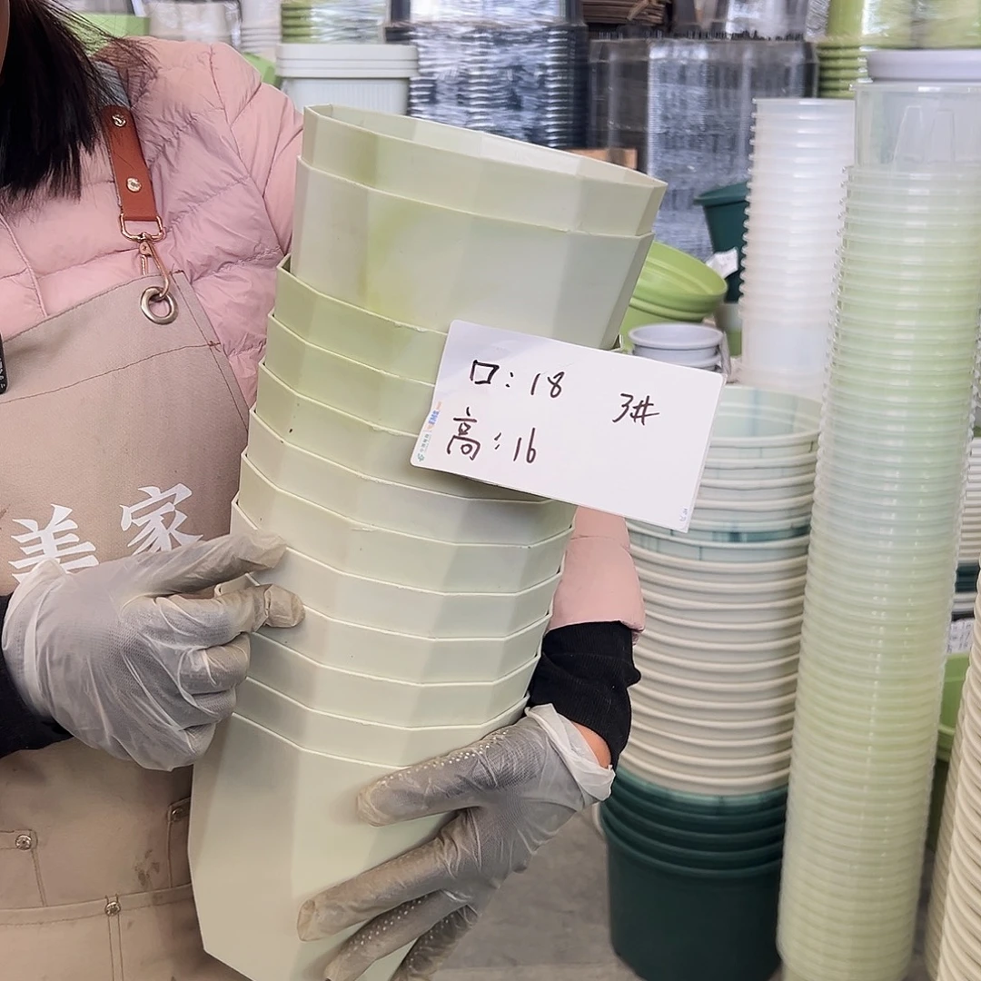 瑕疵雅典3#米白串色8个无托