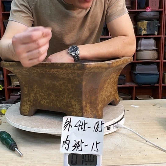 嚮*向紫砂花盆中放的有木