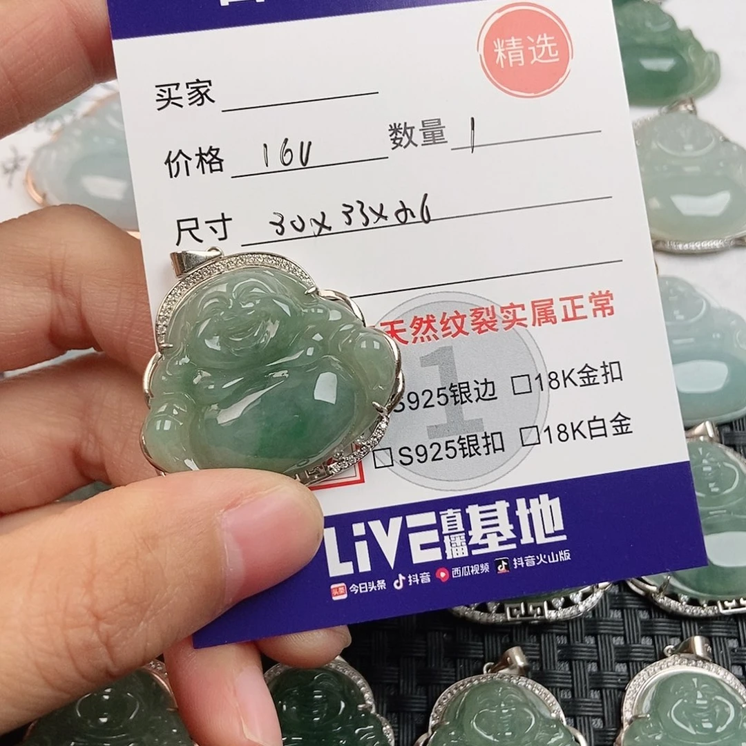 翡翠银S925镶嵌颈饰