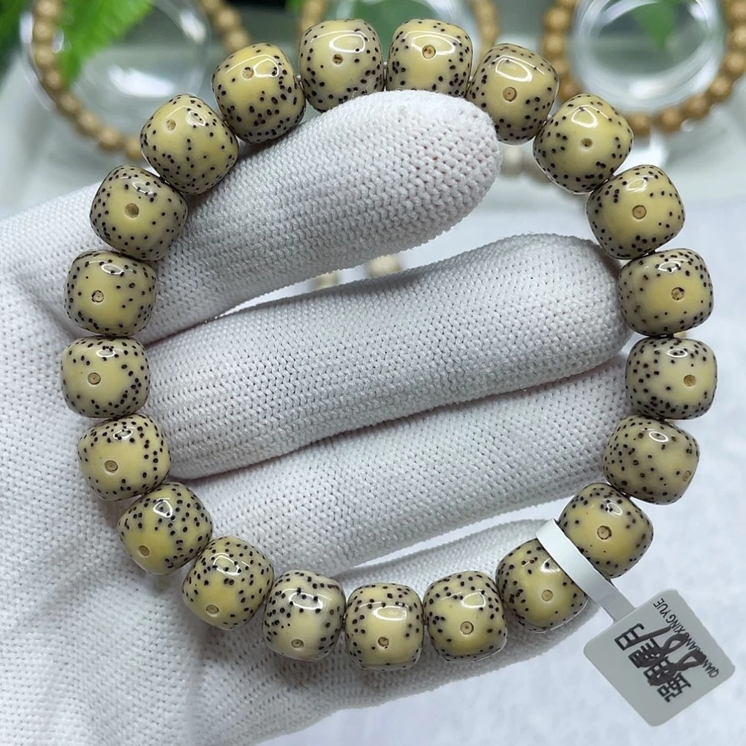 星月菩提手串08黄金瞳大眼睛11/10