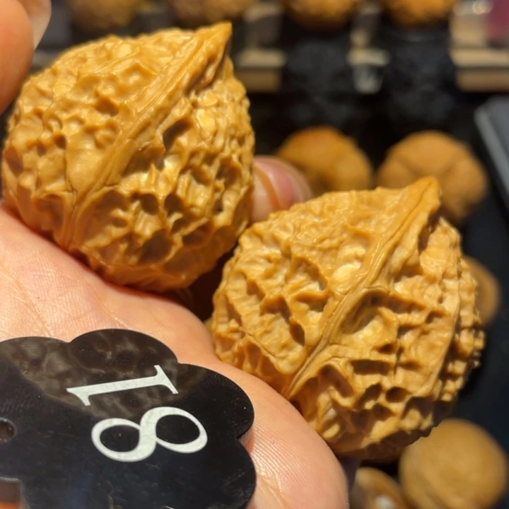 鸭嘴兽核桃尺寸39