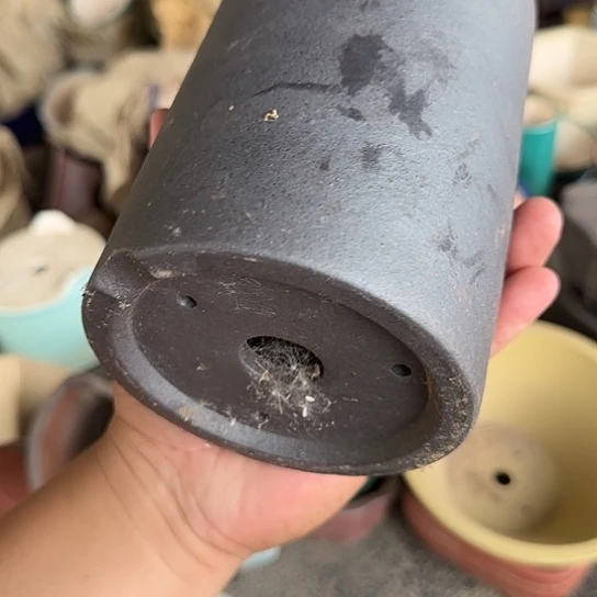 是的呀哈哈是这样哈哈好开心哦