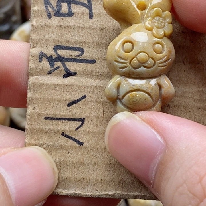 硅化珊瑚（珊瑚玉）未镶嵌颈饰m**s
