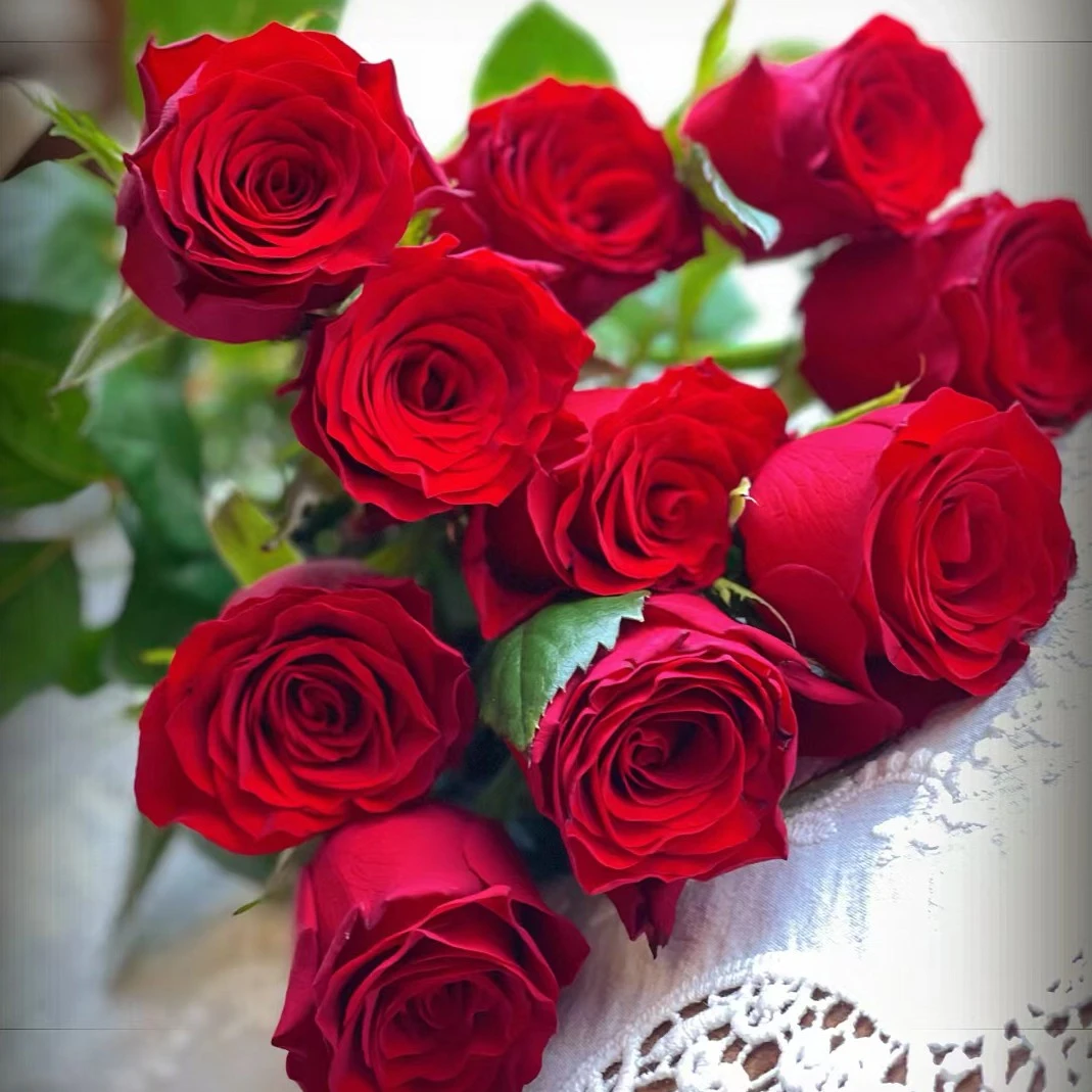 10支高原红玫瑰  家居鲜花  配送范围江浙沪皖