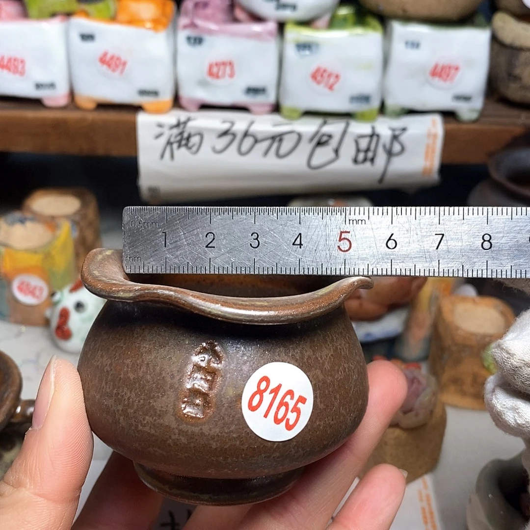 红陶拍5送一个小