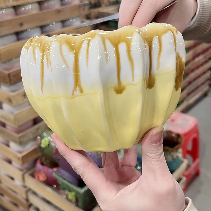 陶瓷凑单10元发货！