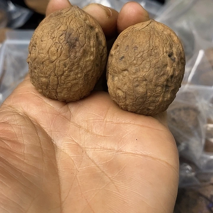 核桃云南铁核桃基地91