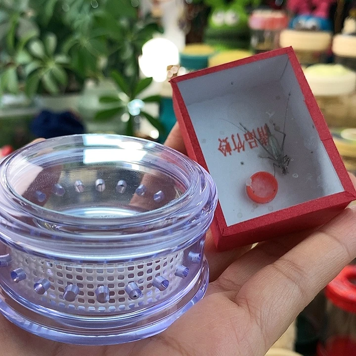 蓝色万体啊啊啊啊啊