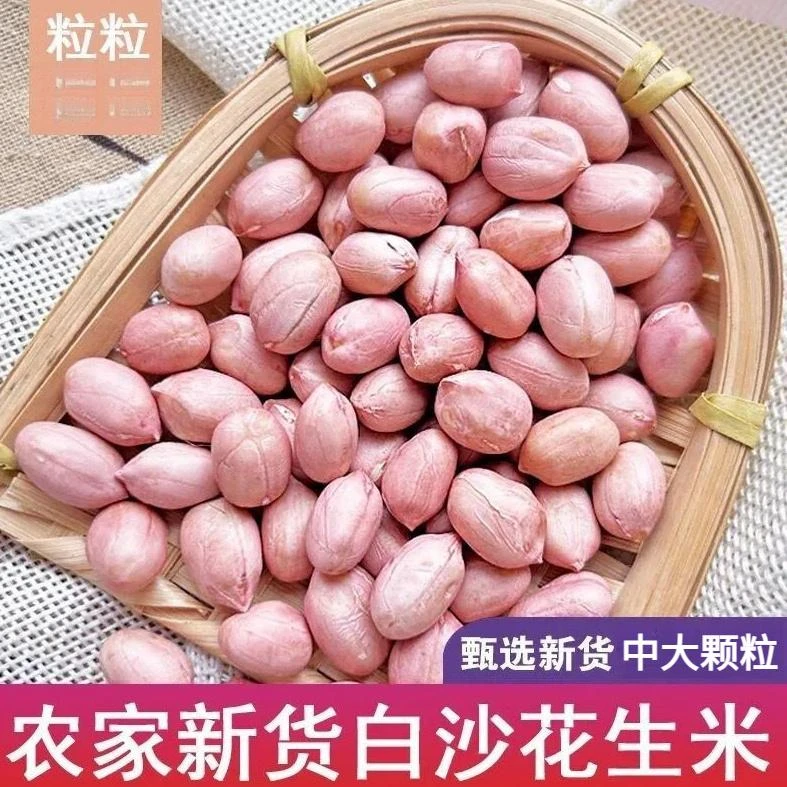 净重1斤】新货白沙花生生花生不带壳新鲜花生仁甄选花生米100g试吃