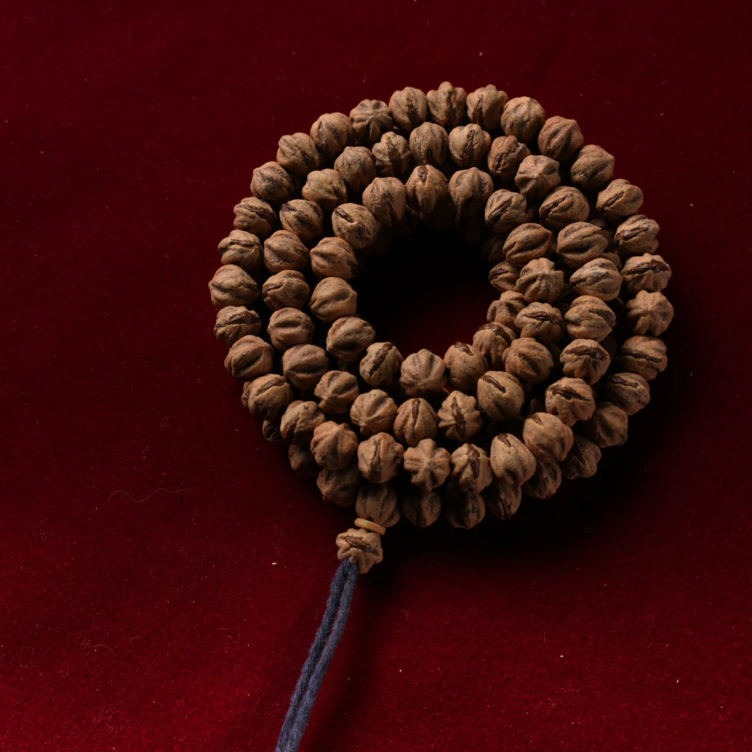 【朝奉文玩】柏香籽（编号 C360）天然文玩柏香长串尺寸6+