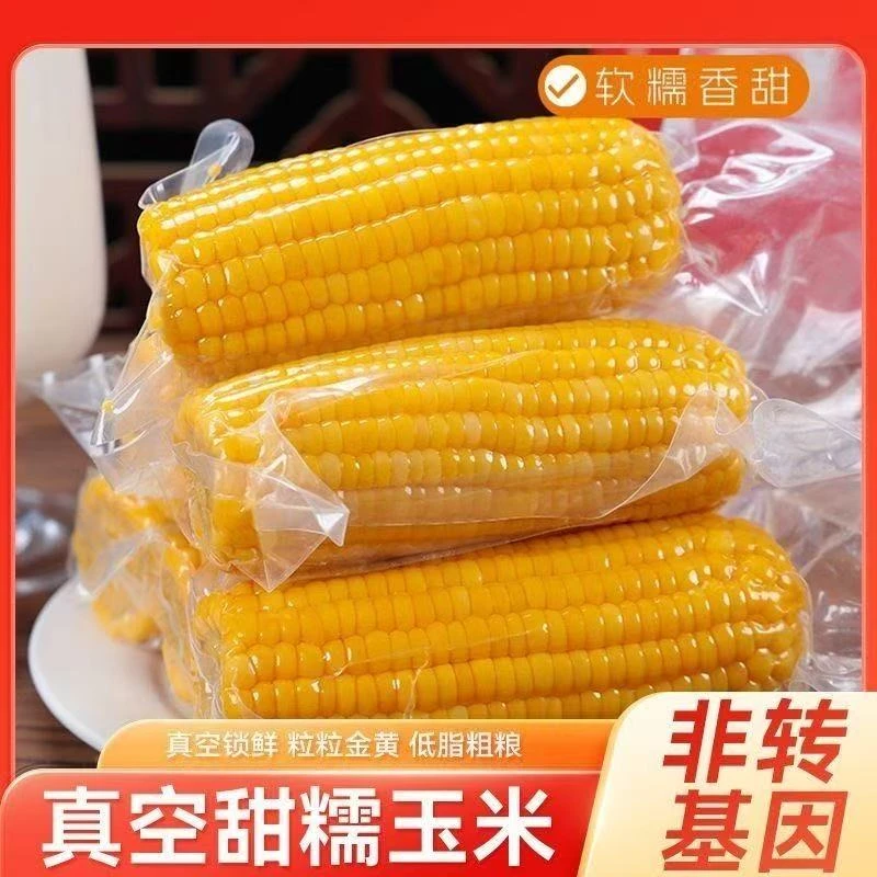 2025山西忻州黄糯玉米整箱装软糯香甜10根装