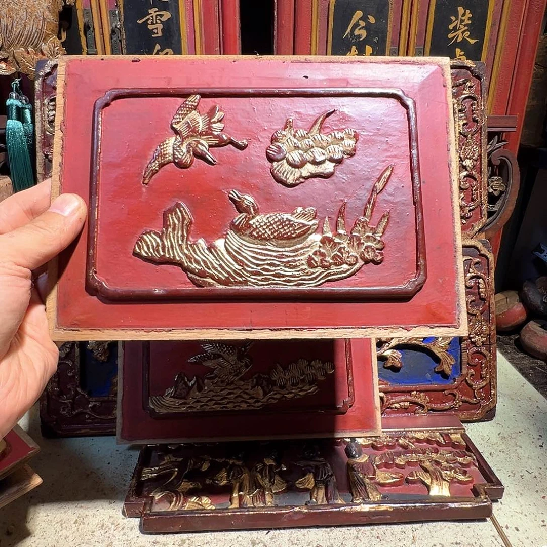鳳***樂木偶遇回家看剧场n明明你