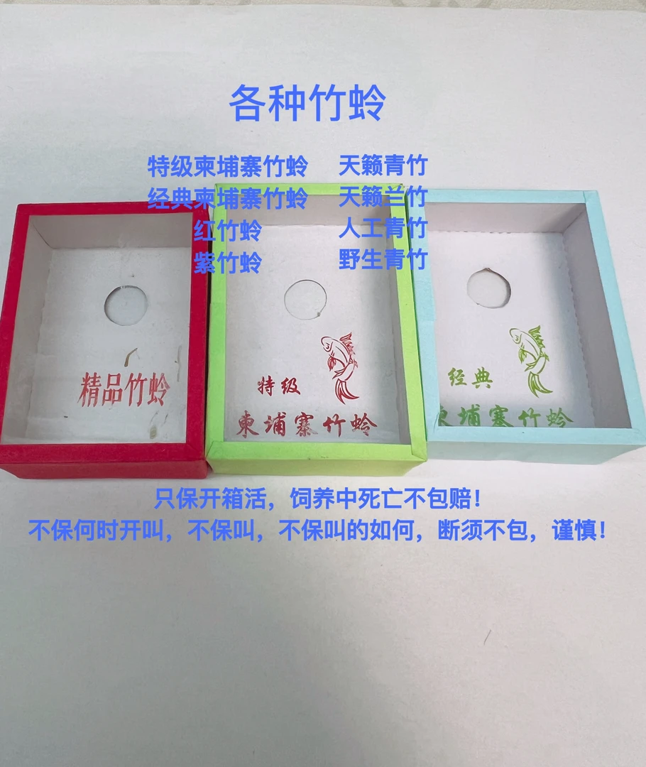 新上市天籁青竹 蓝竹 纸盒（需快递到达2小时内开箱视频，超时不包）