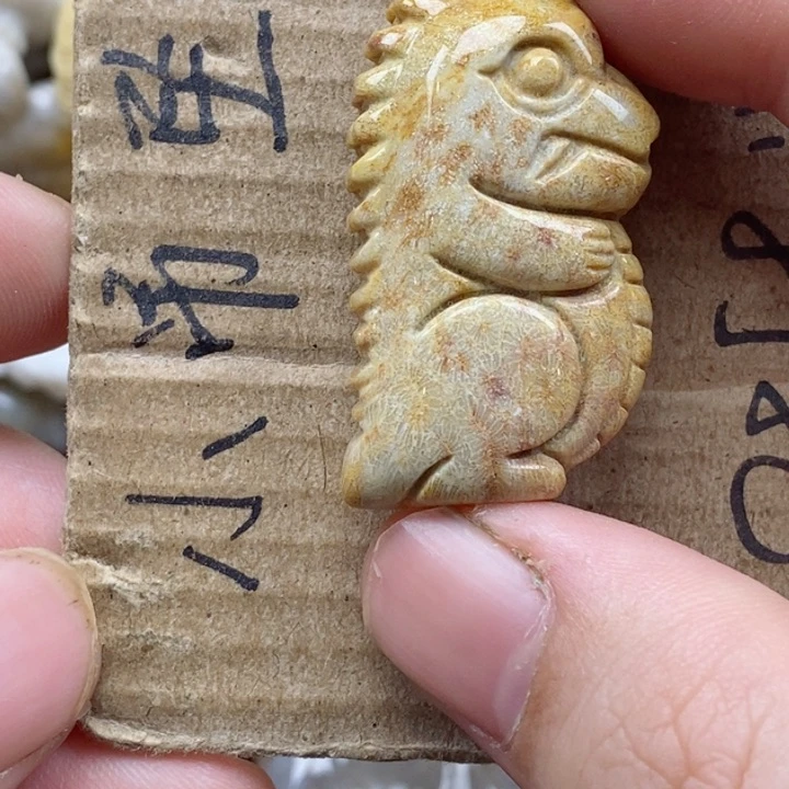 颈饰未镶嵌硅化珊瑚（珊瑚玉）天****3