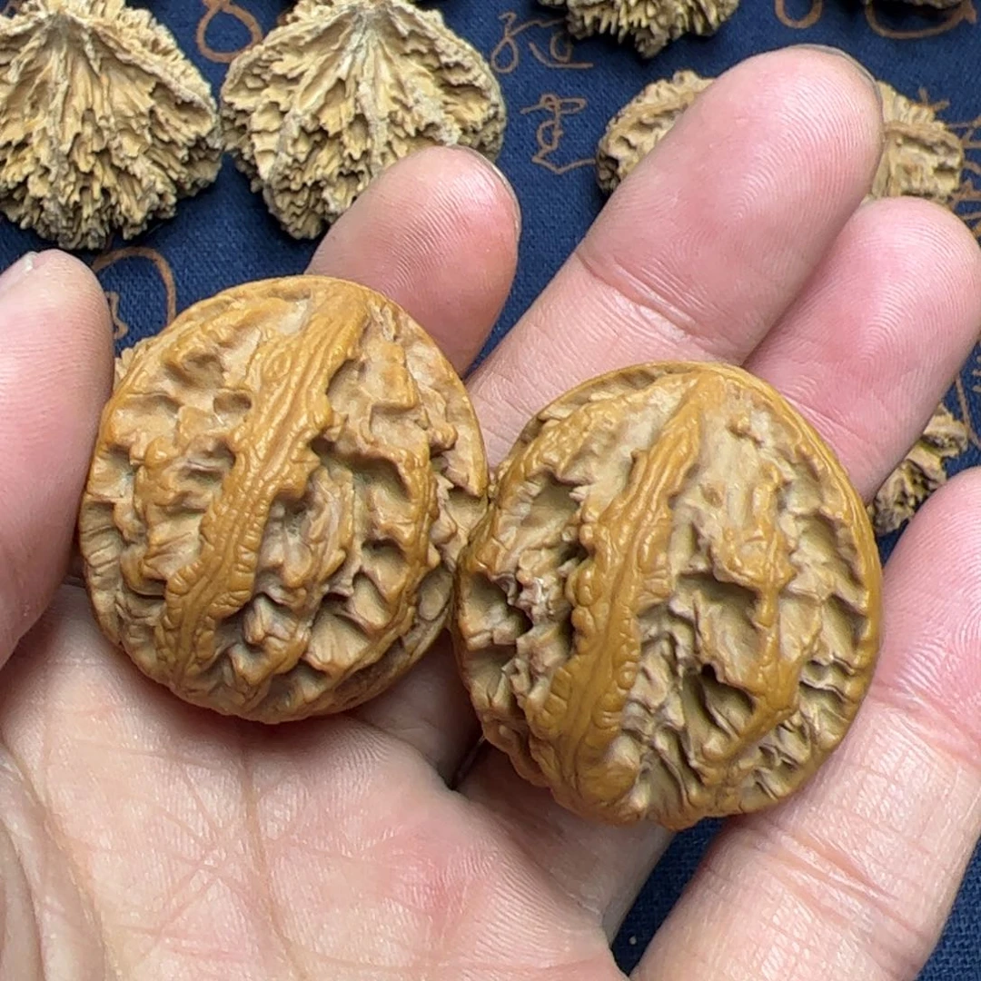 文玩核桃把件秦岭野生灯笼核桃