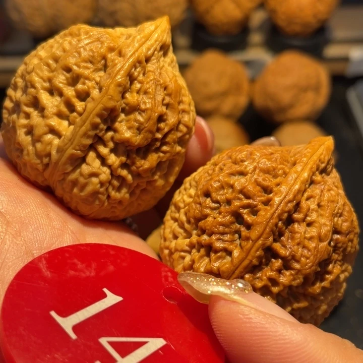 七彩铁南江核桃尺寸39