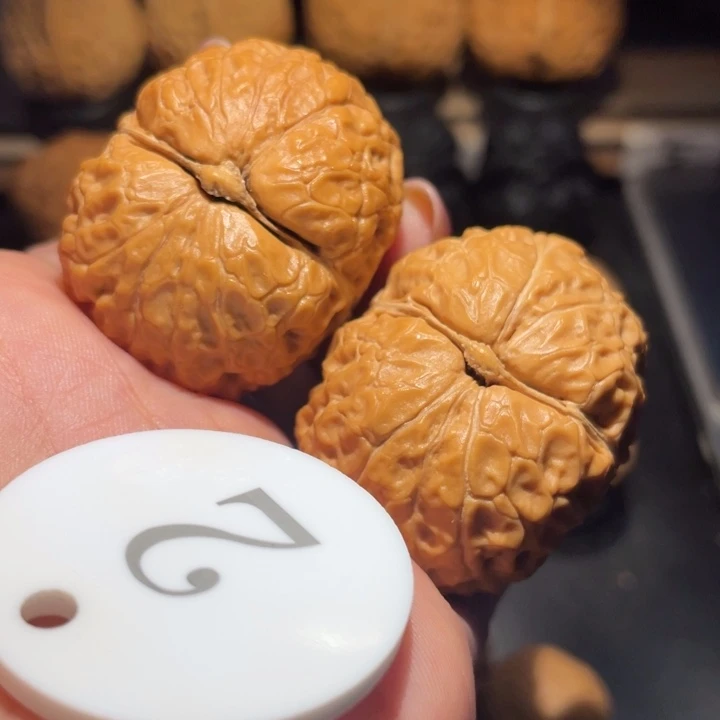 布***相一品元宝核桃尺寸40