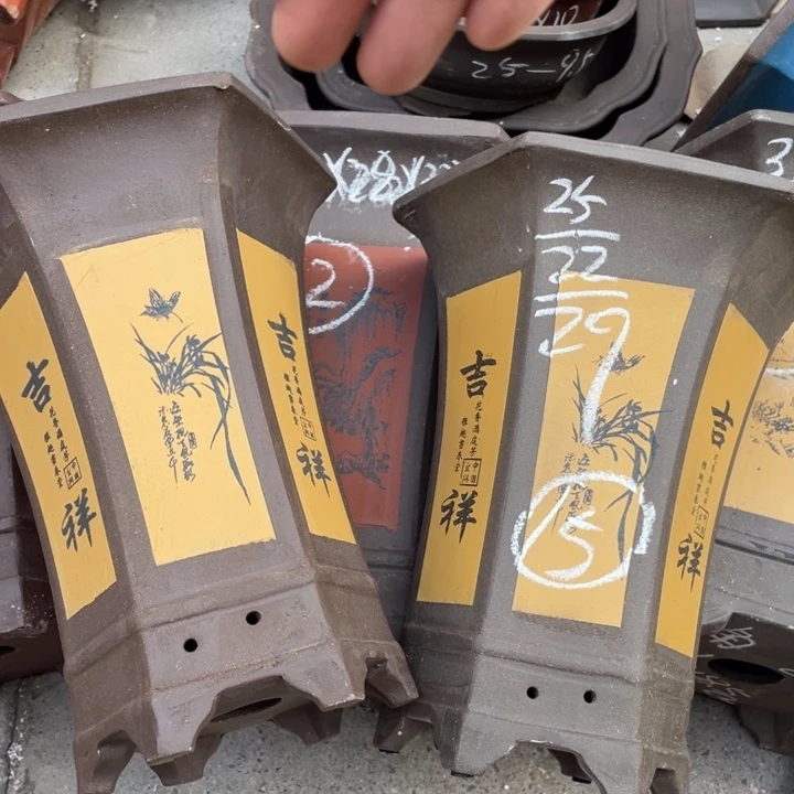 真实真实真实学生