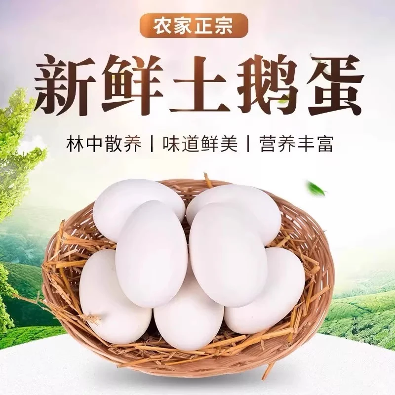 新鲜鹅蛋农家散养土正宗特产20枚生鹅蛋精品包邮