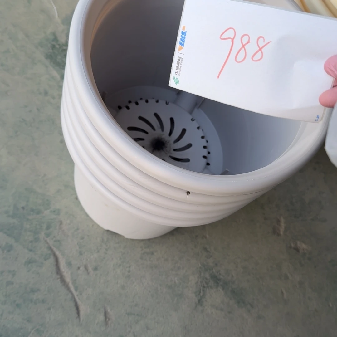 编号988微瑕口径32