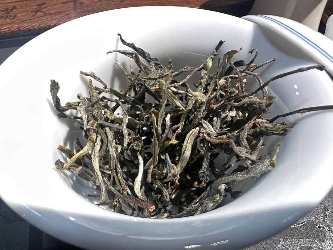 2025年易武天门山乔木散茶100g/罐
