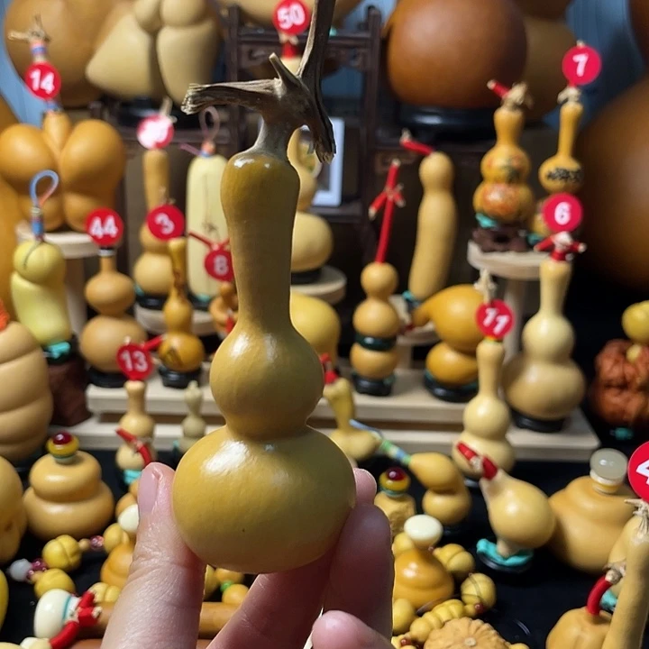 奶***虎葫芦丝老师在讲道理吗