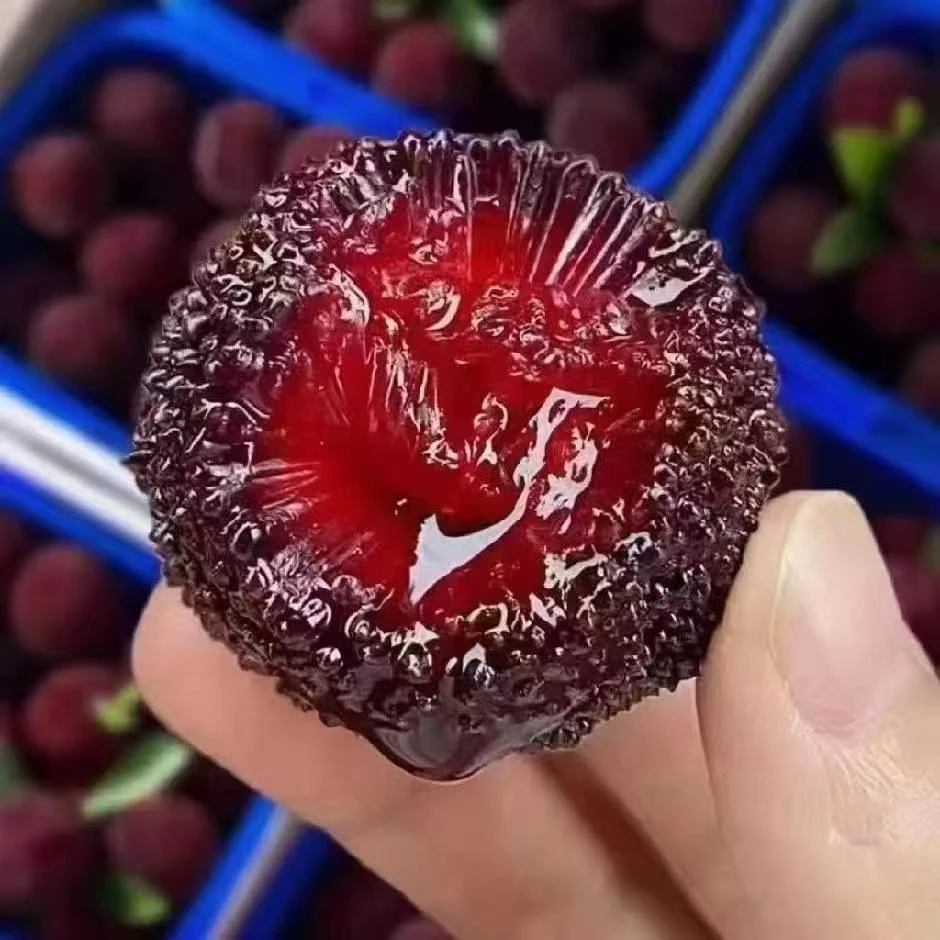 仙居红映荸荠杨梅