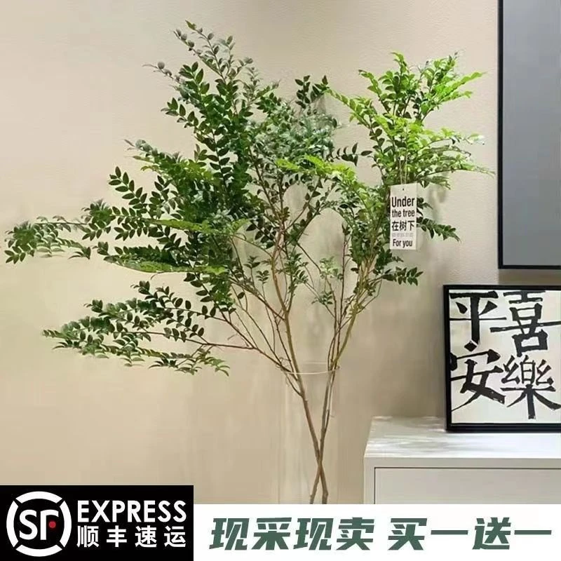 美男树水培鲜切枝条植物吊钟马醉木平替室内卧室客厅装饰网红绿植