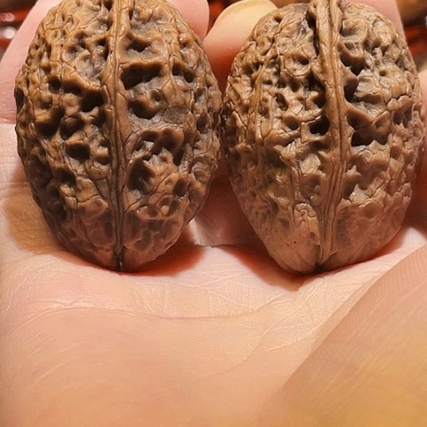 把件文玩核桃双节轮带彩磕尖35