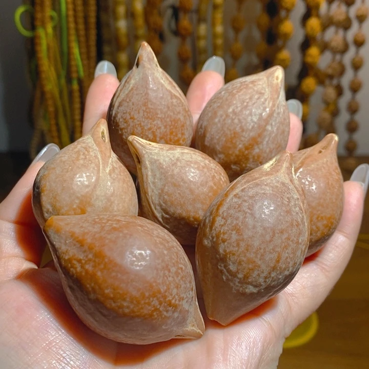 野生巴西大橄榄核把件