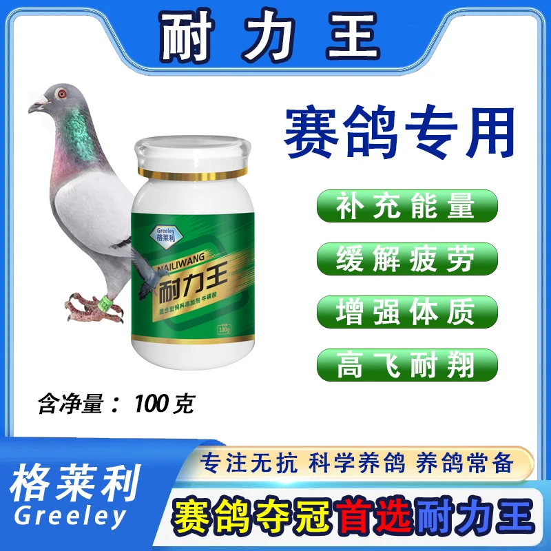 格莱利耐力王赛鸽增速耐飞强心肺抗疲劳专用