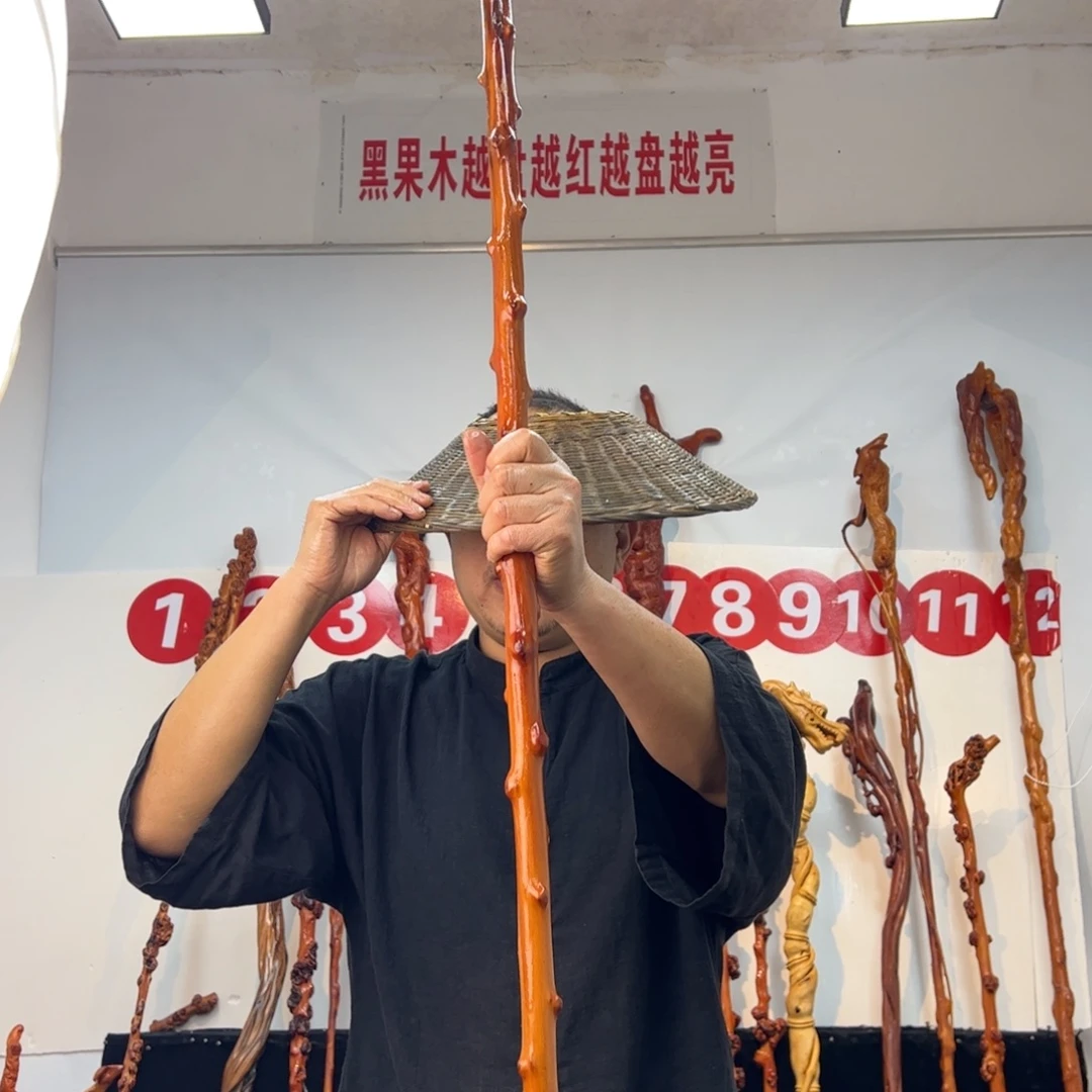其他黑果木黑果木583