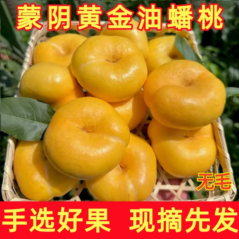 山东蒙阴油蟠桃彩虹蟠桃应季头茬产地现摘现发