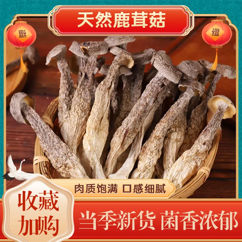 贵州精选蔍茸菇250g包邮