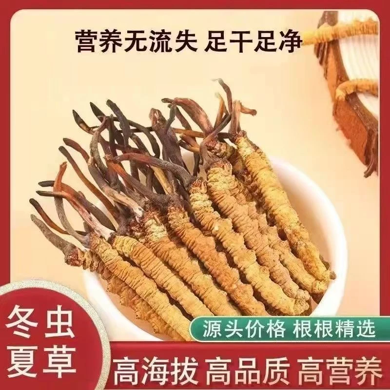 正品高海拔藏区冬虫夏草精选高品质整根新草干货2根1克滋补煲汤