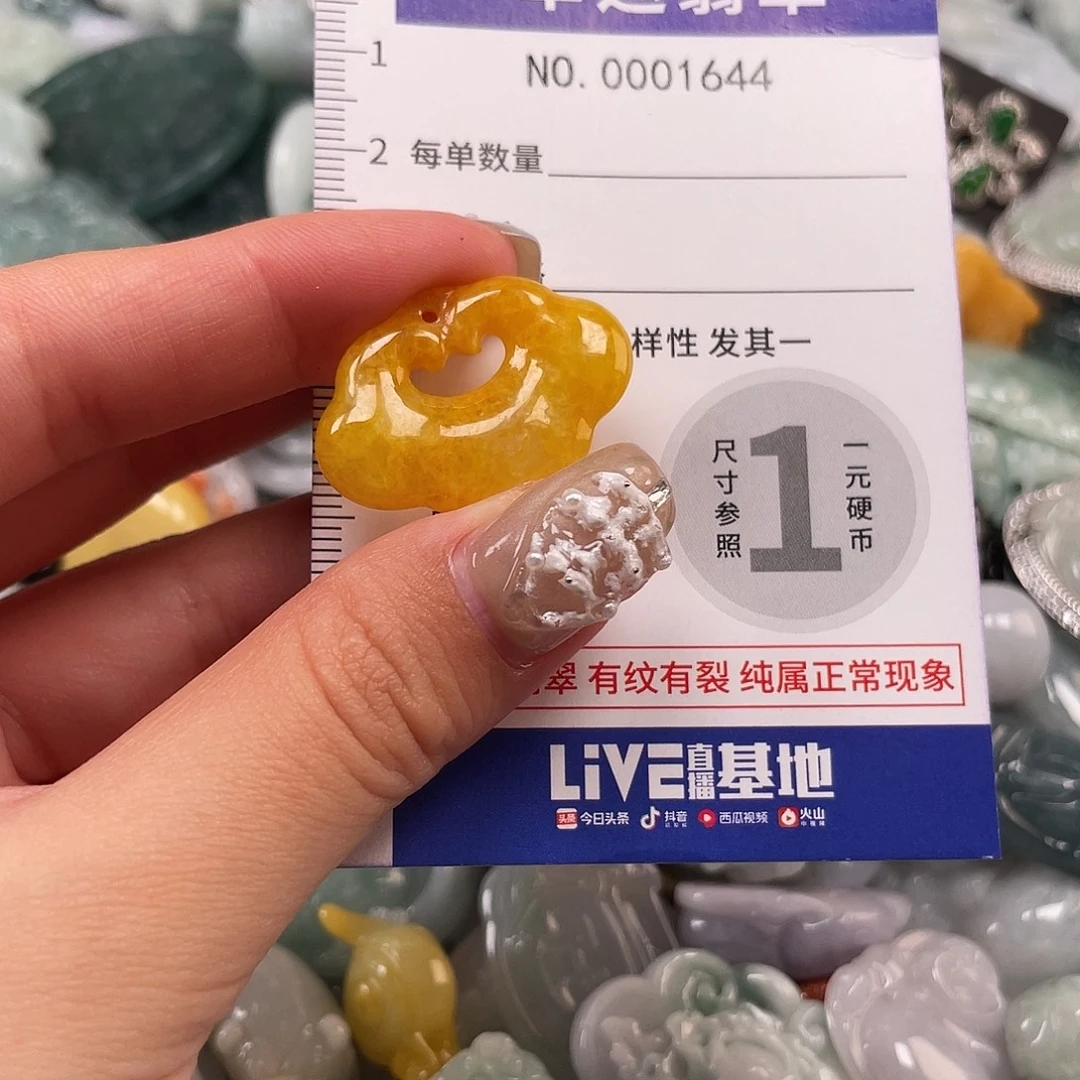 翡翠未镶嵌颈饰1644